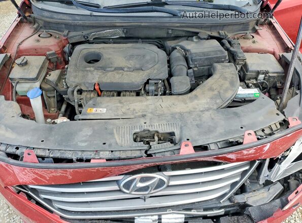 5NPE24AF5HH469044 2017 HYUNDAI SONATA Red Սալոնի հետևի տեսք