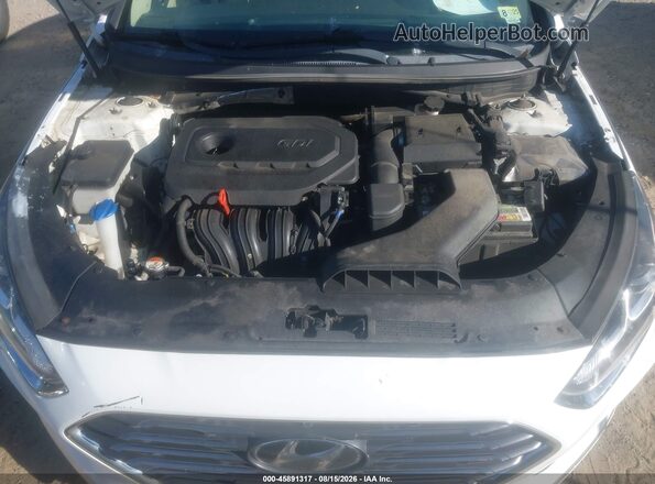 5NPE24AF5KH734956 2019 HYUNDAI SONATA White Вид ззаду