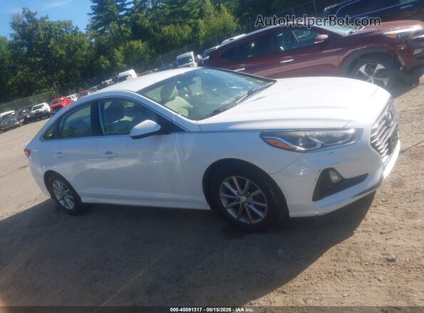 5NPE24AF5KH734956 2019 HYUNDAI SONATA White Вид задньої частини салону