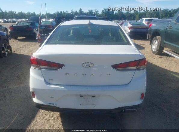 5NPE24AF5KH734956 2019 HYUNDAI SONATA White 