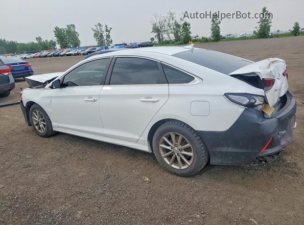 5NPE24AF5KH802639 2019 HYUNDAI SONATA White Rear left