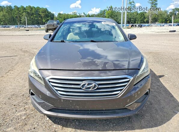 5NPE24AF6GH267974 2016 HYUNDAI SONATA Gray Widok z tyłu