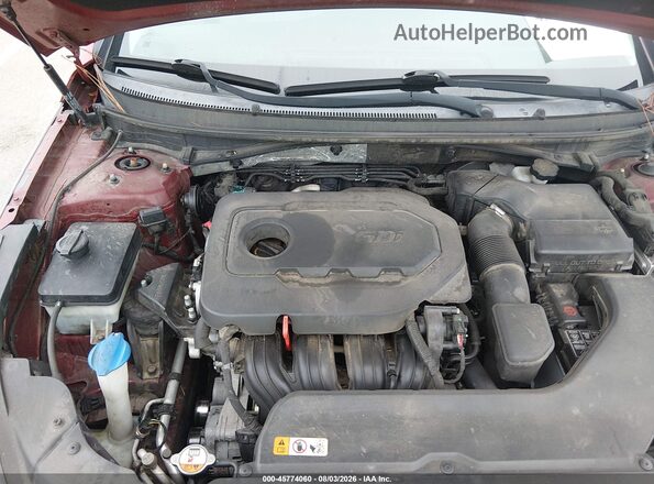 5NPE24AF6GH282104 2016 HYUNDAI SONATA Red Widok z tyłu