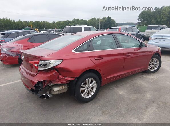 5NPE24AF6GH282104 2016 HYUNDAI SONATA Red Tył prawy