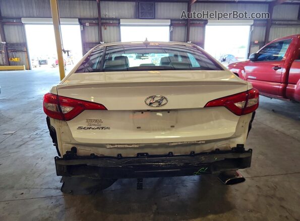 5NPE24AF6GH284404 2016 HYUNDAI SONATA White Вид ззаду