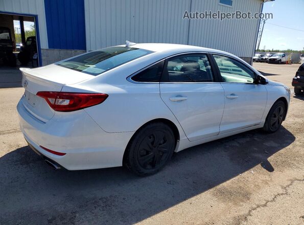 5NPE24AF6GH285262 2016 HYUNDAI SONATA White Tył prawy