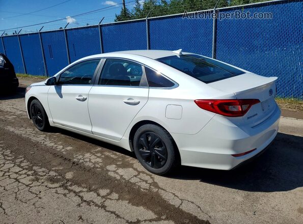 5NPE24AF6GH285262 2016 HYUNDAI SONATA White Tył lewy