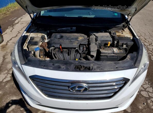 5NPE24AF6GH285262 2016 HYUNDAI SONATA White Widok wnętrza z tyłu