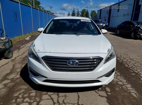 5NPE24AF6GH285262 2016 HYUNDAI SONATA White Widok z przodu