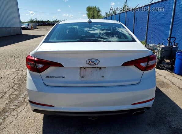 5NPE24AF6GH285262 2016 HYUNDAI SONATA White Widok z tyłu