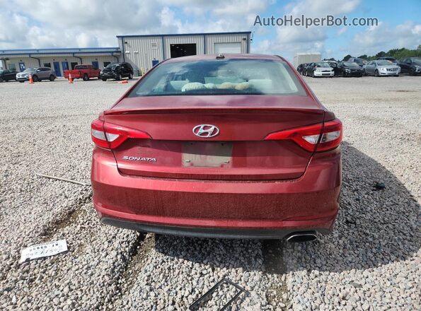 5NPE24AF6GH334041 2016 HYUNDAI SONATA Burgundy Հետևի տեսք