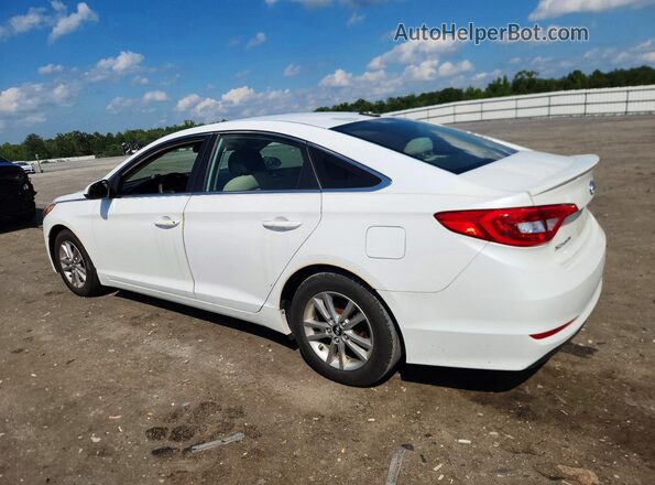 5NPE24AF6GH354936 2016 HYUNDAI SONATA White Rear left