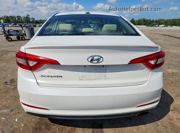 5NPE24AF6GH354936 2016 HYUNDAI SONATA White Rear view