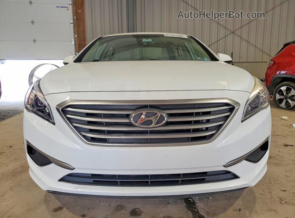 5NPE24AF6GH381411 2016 HYUNDAI SONATA White Front view