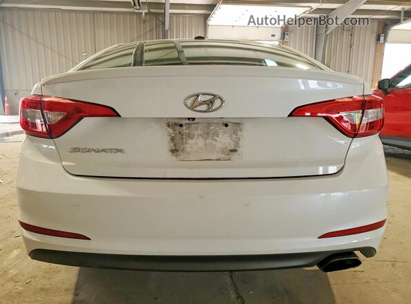 5NPE24AF6GH381411 2016 HYUNDAI SONATA White Rear view