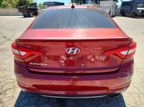 5NPE24AF6GH387953 2016 HYUNDAI SONATA Red Widok z tyłu
