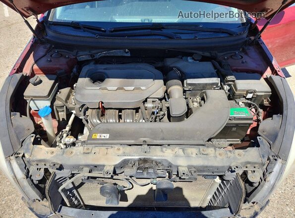 5NPE24AF6GH387953 2016 HYUNDAI SONATA Red Widok wnętrza z tyłu