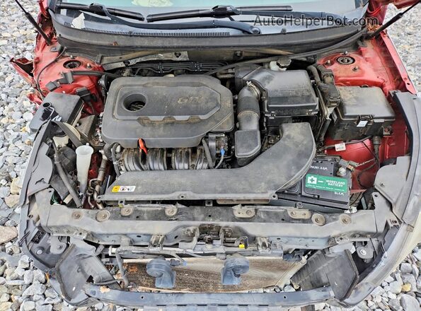5NPE24AF6HH492381 2017 HYUNDAI SONATA Red Սալոնի հետևի տեսք