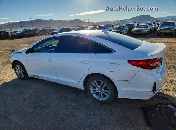 5NPE24AF6HH505081 2017 HYUNDAI SONATA White Rear left
