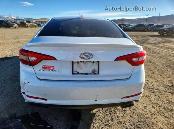 5NPE24AF6HH505081 2017 HYUNDAI SONATA White Rear view