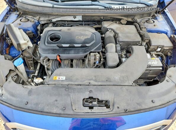 5NPE24AF6HH567922 2017 HYUNDAI SONATA Blue Սալոնի հետևի տեսք