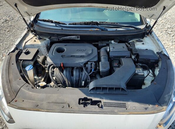 5NPE24AF6KH729815 2019 HYUNDAI SONATA White უკანა სალონის ხედი