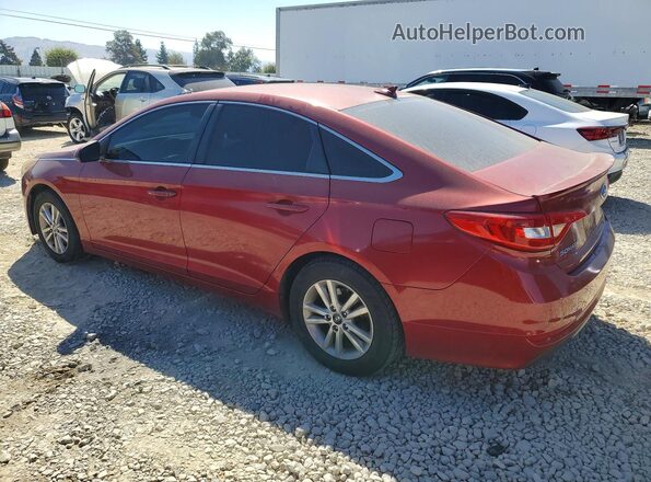 5NPE24AF7GH269703 2016 HYUNDAI SONATA Red Հետևի ձախ