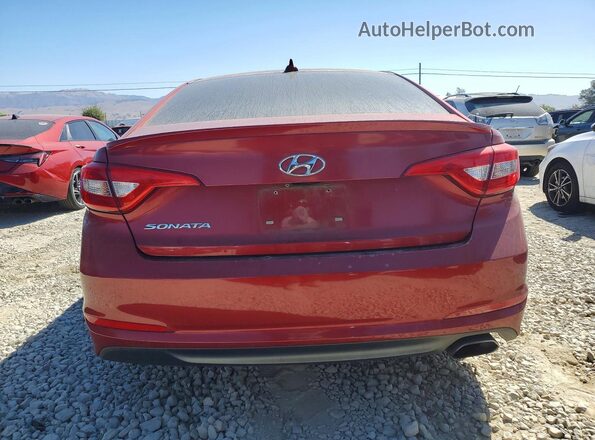 5NPE24AF7GH269703 2016 HYUNDAI SONATA Red Հետևի տեսք