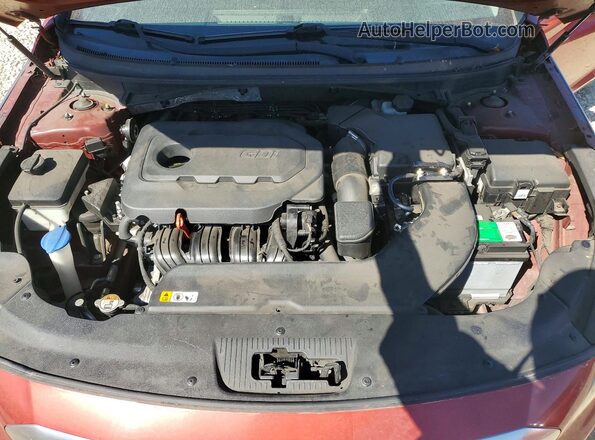 5NPE24AF7GH269703 2016 HYUNDAI SONATA Red Սալոնի հետևի տեսք