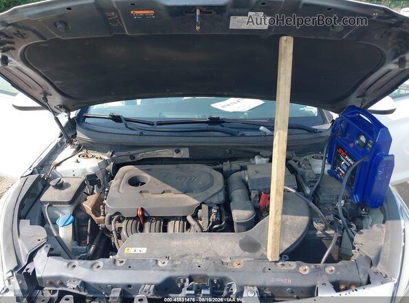 5NPE24AF7GH273248 2016 HYUNDAI SONATA White Вид ззаду