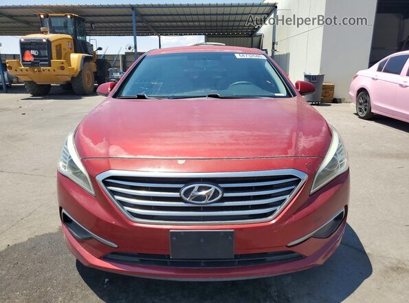 5NPE24AF7GH275808 2016 HYUNDAI SONATA Maroon Դիմացի տեսք