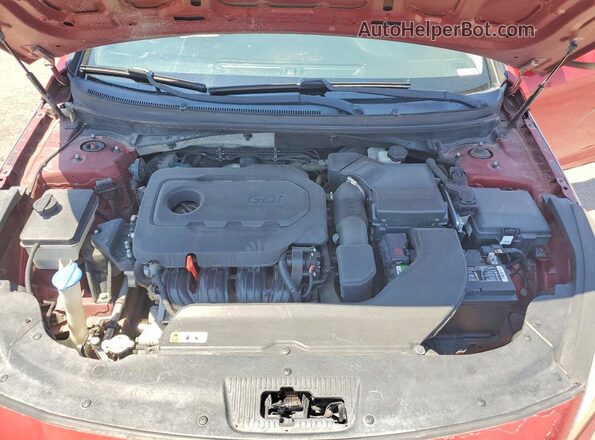 5NPE24AF7GH275808 2016 HYUNDAI SONATA Maroon Սալոնի հետևի տեսք