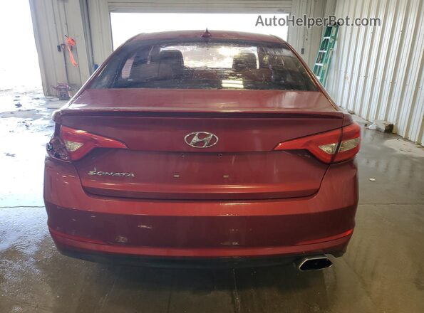 5NPE24AF7GH289014 2016 HYUNDAI SONATA Red Widok z tyłu