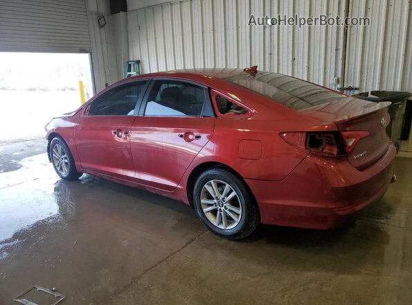 5NPE24AF7GH289014 2016 HYUNDAI SONATA Red Tył lewy