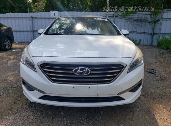 5NPE24AF7GH293385 2016 HYUNDAI SONATA White Vista frontal