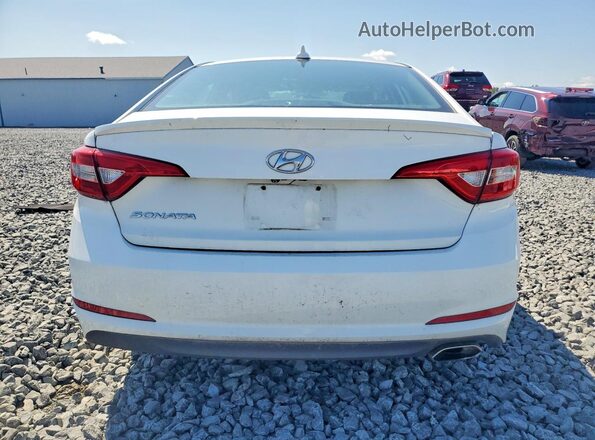 5NPE24AF7GH298344 2016 HYUNDAI SONATA White Вид задніх сидінь