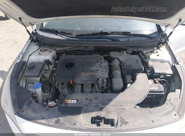 5NPE24AF7GH345551 2016 HYUNDAI SONATA White უკანა ხედი