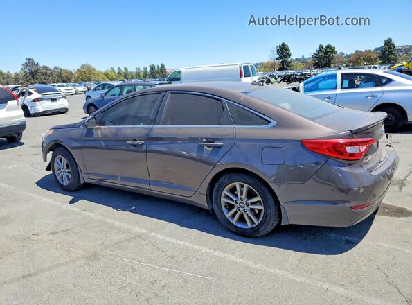 5NPE24AF7GH356419 2016 HYUNDAI SONATA Brown Задня ліва чверть