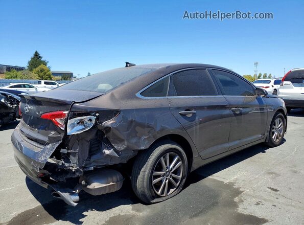 5NPE24AF7GH356419 2016 HYUNDAI SONATA Brown Задня права чверть