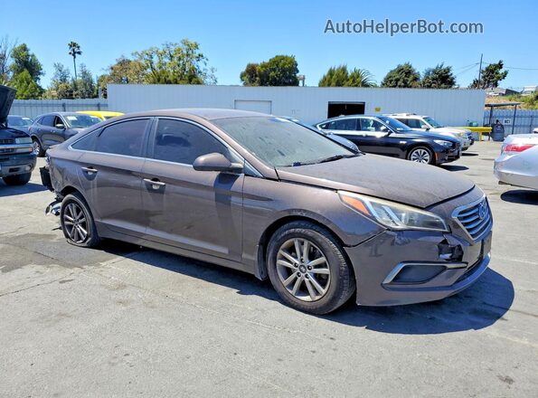 5NPE24AF7GH356419 2016 HYUNDAI SONATA Brown Передня права чверть