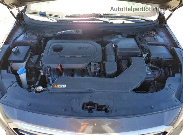 5NPE24AF7GH356419 2016 HYUNDAI SONATA Brown Вид задньої частини салону