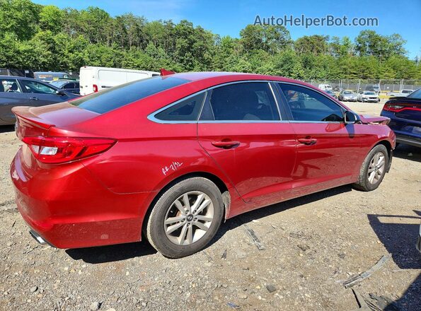 5NPE24AF7GH365461 2016 HYUNDAI SONATA Burgundy Trasero derecho