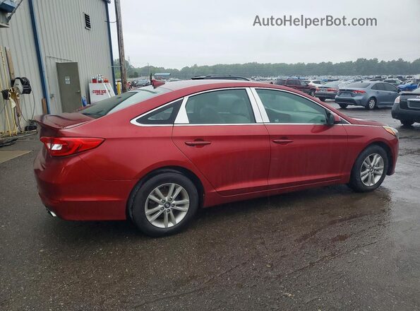 5NPE24AF7GH390201 2016 HYUNDAI SONATA Red Հետևի աջ