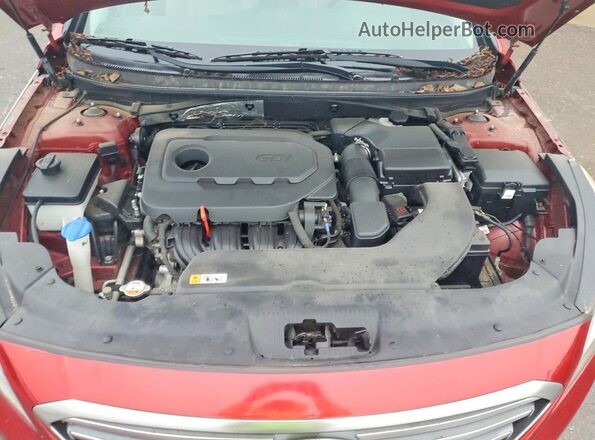 5NPE24AF7GH390201 2016 HYUNDAI SONATA Red Սալոնի հետևի տեսք