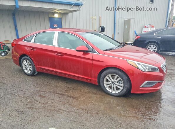 5NPE24AF7GH390201 2016 HYUNDAI SONATA Red Առջևի աջ