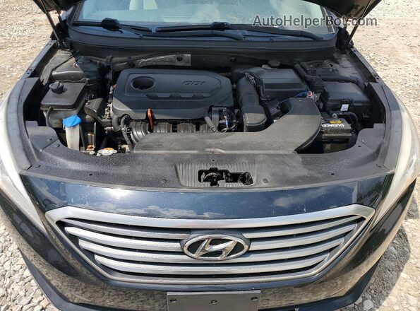 5NPE24AF7GH400922 2016 HYUNDAI SONATA Black Widok wnętrza z tyłu