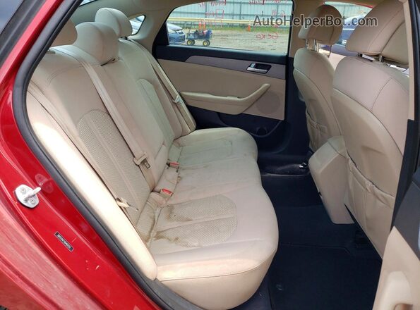 5NPE24AF7GH402153 2016 HYUNDAI SONATA Red Rear seats view