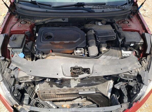 5NPE24AF7GH402153 2016 HYUNDAI SONATA Red Rear interior view