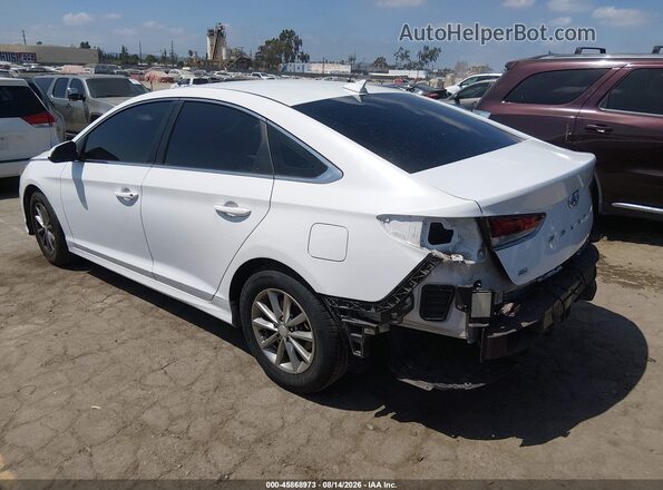 5NPE24AF7KH743013 2019 HYUNDAI SONATA White უკანა მარცხენა