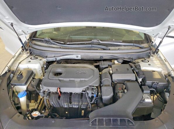 5NPE24AF7KH784242 2019 HYUNDAI SONATA Silver Սալոնի հետևի տեսք